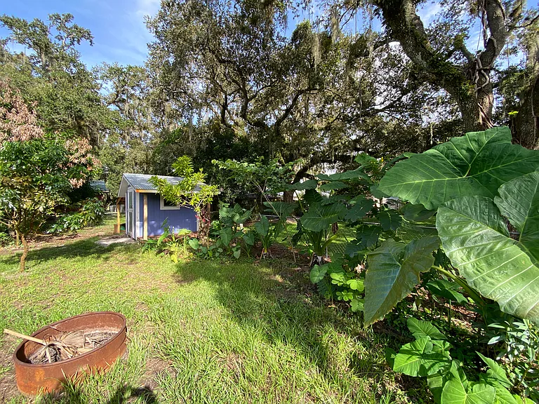 Backyard