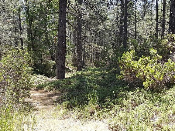 5th image of Deardorff Rd