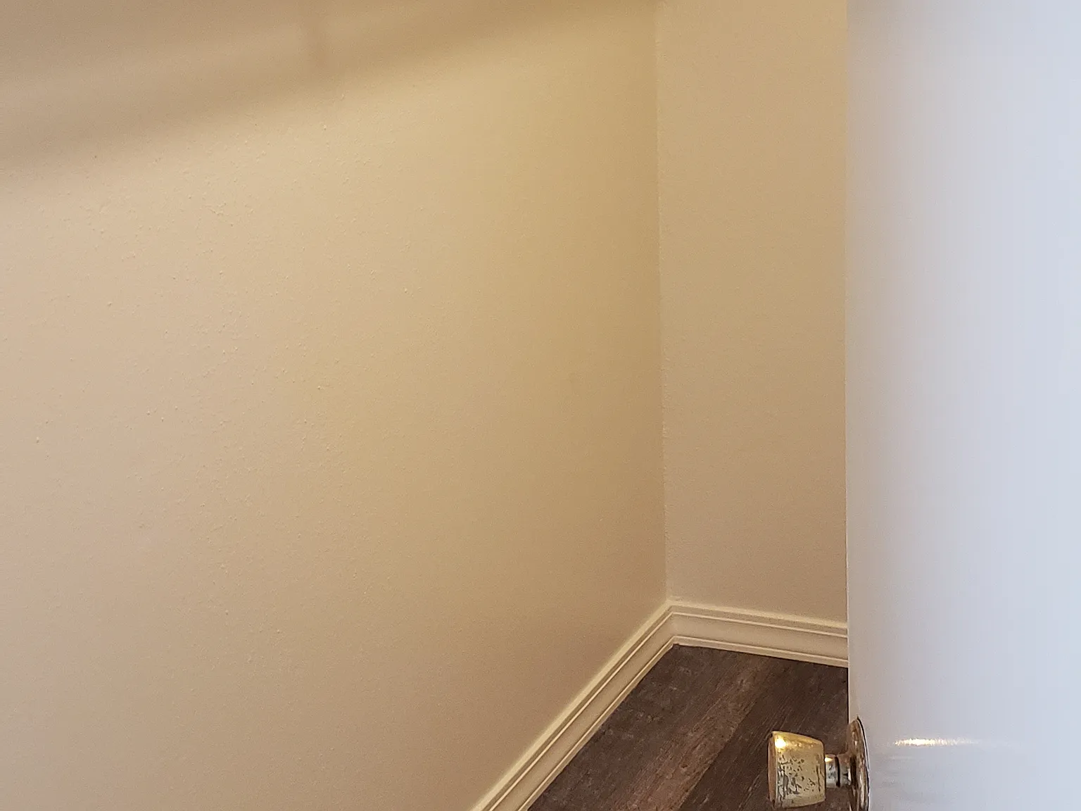1 bed, 800 sqft, $775 — Photo 4