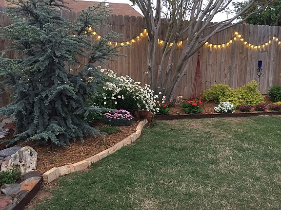 Backyard (nw corner)