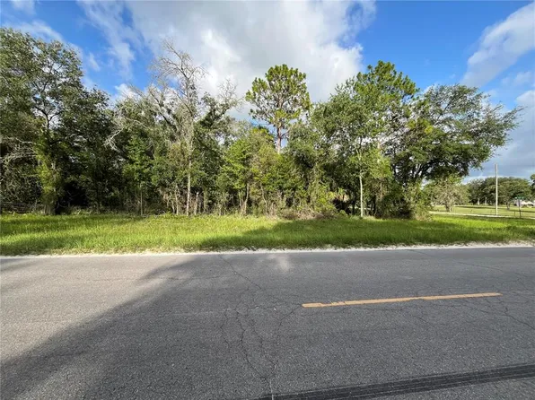 SE County Road 337 Lot 3, Morriston, FL 32668
