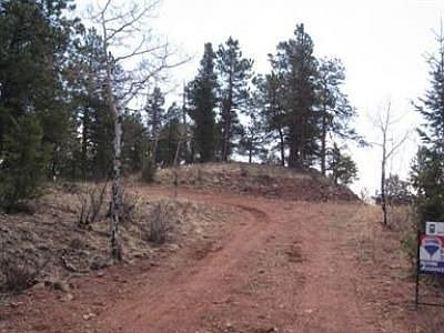 4th image of 12496 Cindy Ave