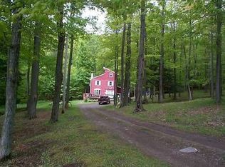 773 W Branch Rd, Millerton, PA 16936