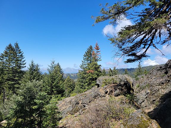 5th image of Snow Camp Rd