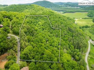 Bear Cubs Trl, Boone, NC 28607