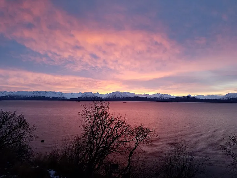 3101 Kachemak Dr #B — Photo 11