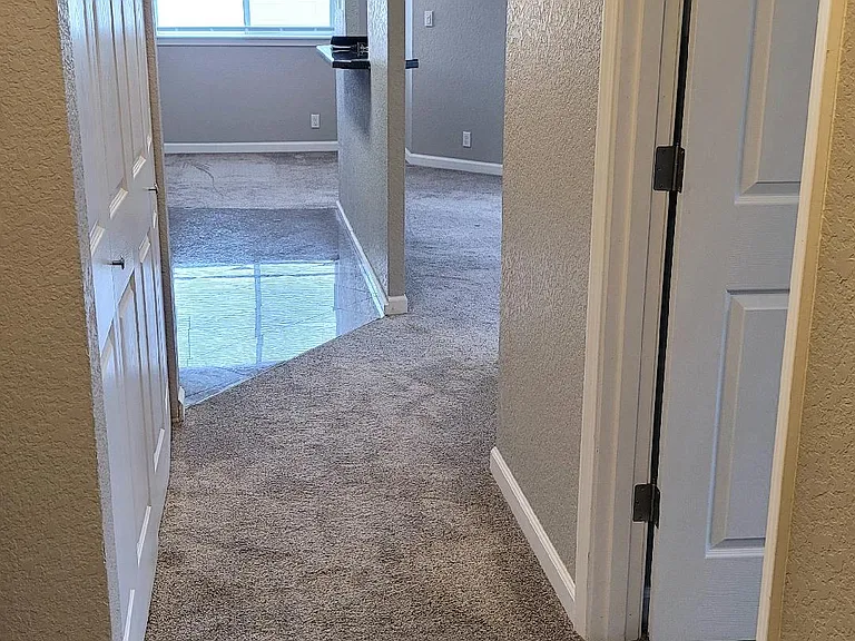 Hallway leading to Bedrooms, Bathrooms and Washer and Dryer Enclosure.