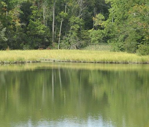 3rd image of 41960 Swans Ct