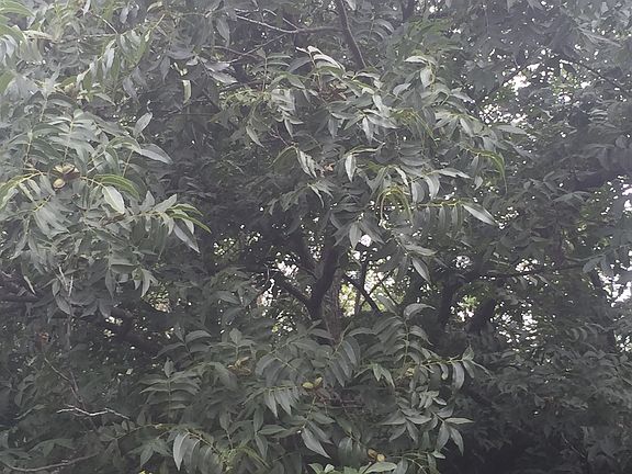 5th image of E 980 Road