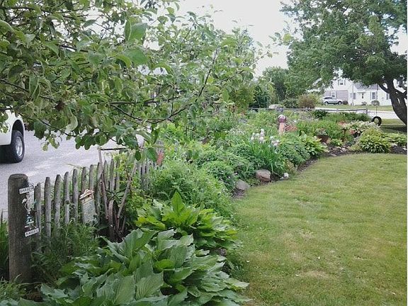 Manicured yard