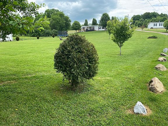 Bottom of the property 