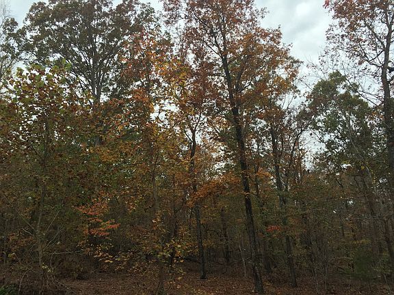 5th image of 121 Little Doe Ln