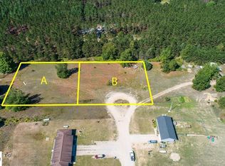 LOT Tiger Dr #A, Lake Ann, MI 49650