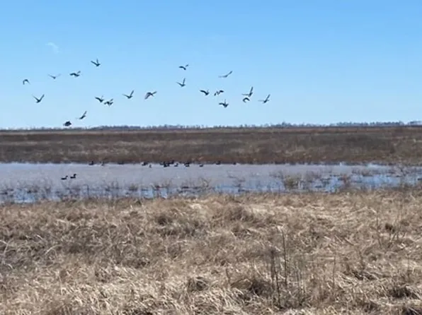 0 New Madrid Ml, Portageville, MO 63873