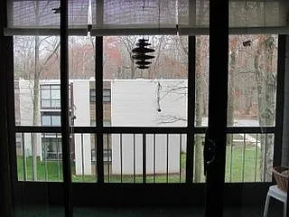 Building Photo 4