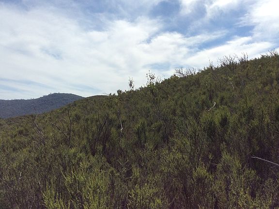 3rd image of State Hwy #132