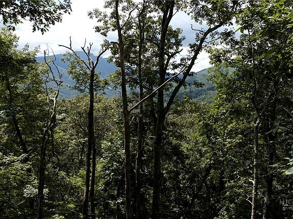 5th image of TBD Nettles Knob