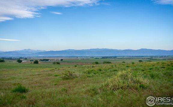Mountain View, Too!
