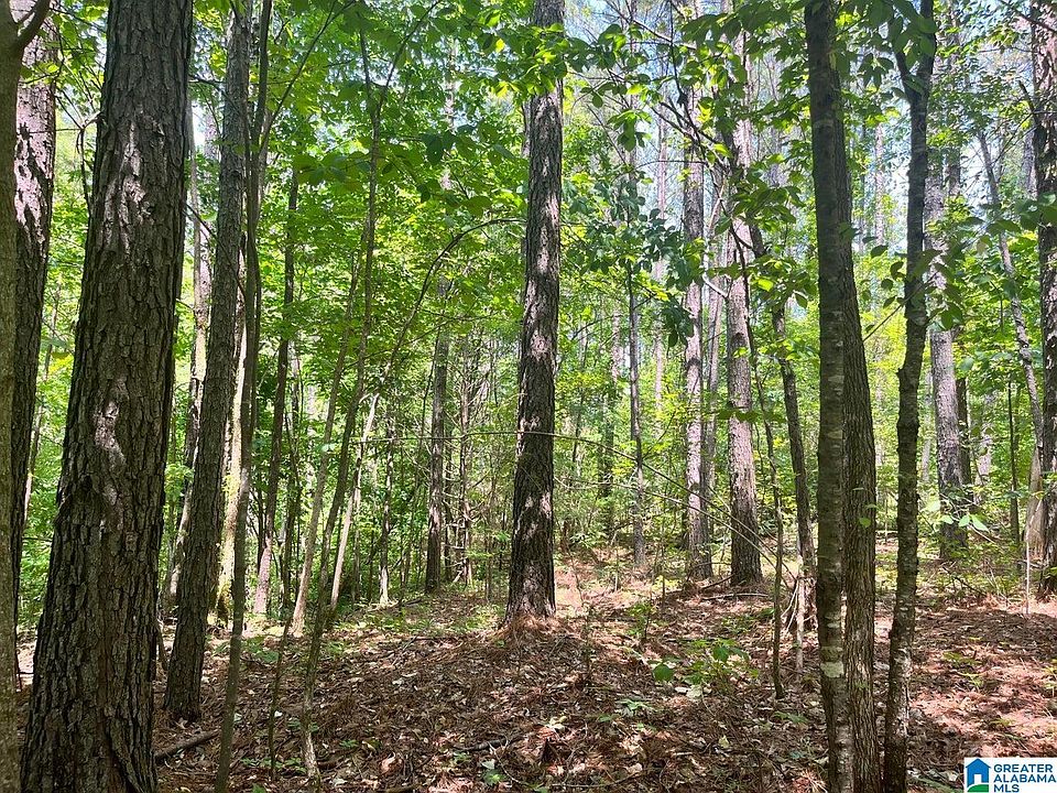 0 Brickyard Rd Sylacauga, AL, 35150 Apartments for Rent Zillow