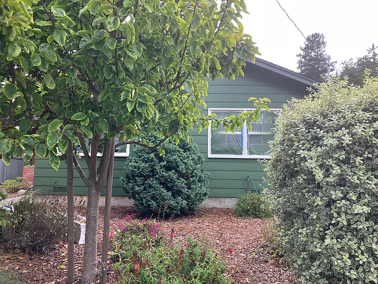 2142 Hodgson St — Photo 18