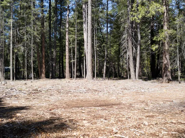 Lake McCumber Rd, Shingletown, CA 96088