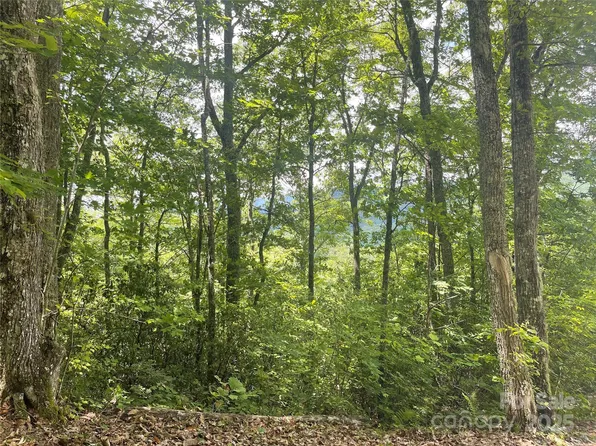 500 Fernwood Dr, Bryson City, NC 28713