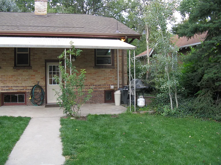 Back yard