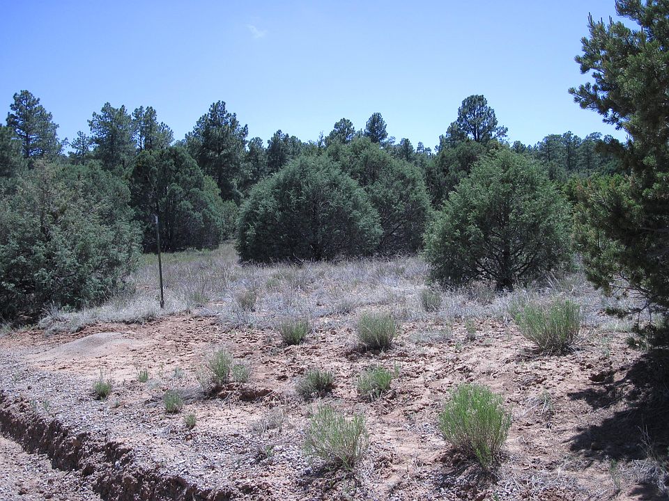 1st image of 16 Camino Circular