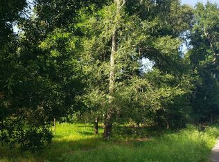 20921 Levee Rd, Guy, TX 77444
