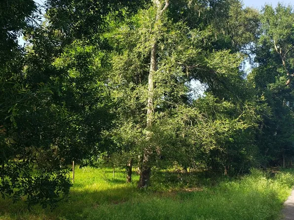 20921 Levee Rd, Guy, TX 77444