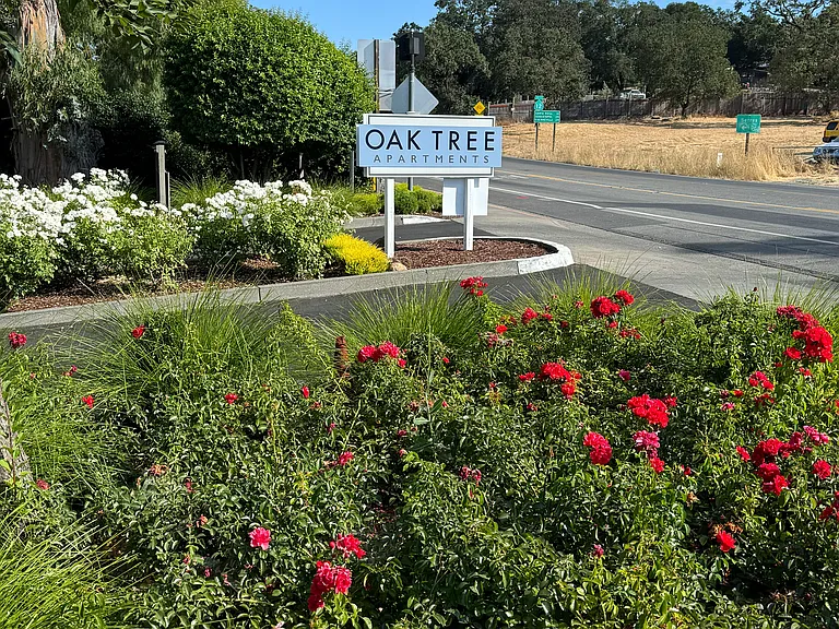 16914 Sonoma Hwy #6 — Photo 8