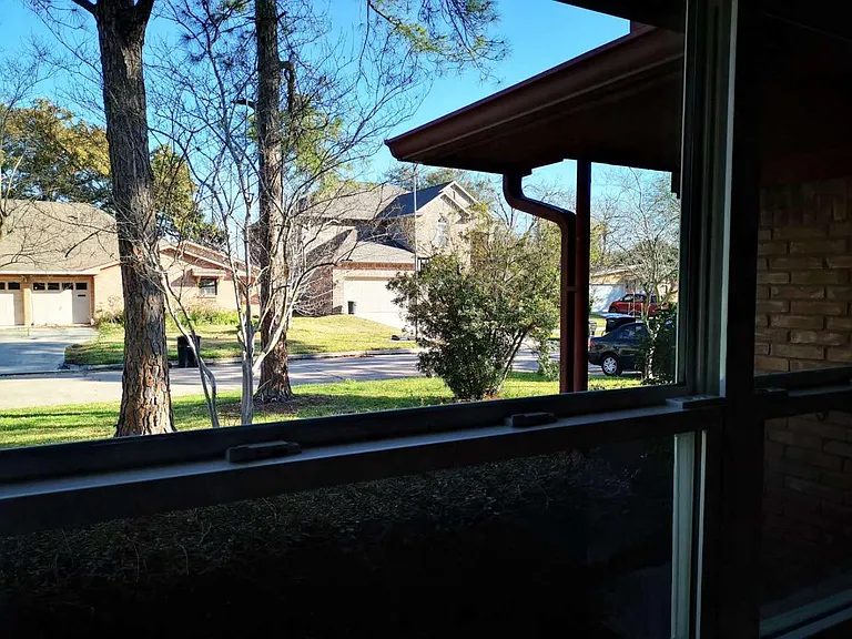 Family room windows