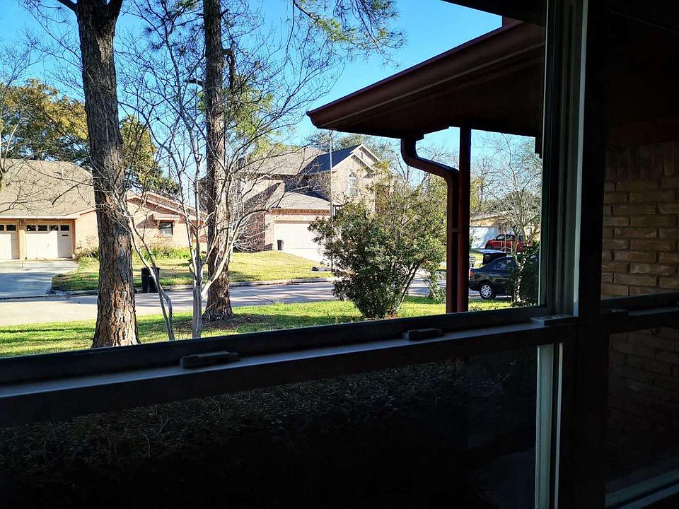 Family room windows