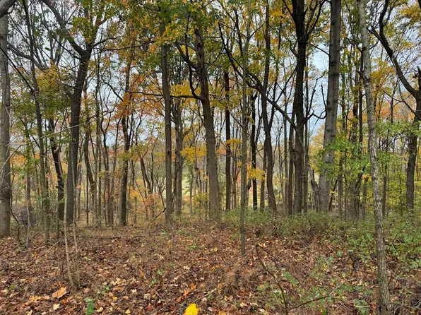 0 Raymond Thompson Rd, Auburn, KY 42206