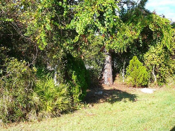 2nd image of 142 Turnbull Villas Cir