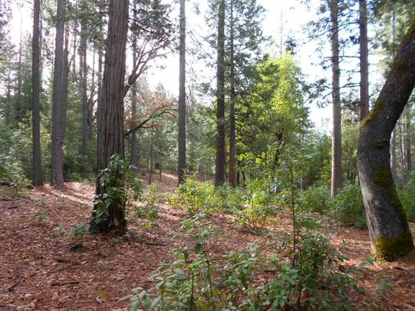 7021 Stope Ct, Placerville, CA 95667