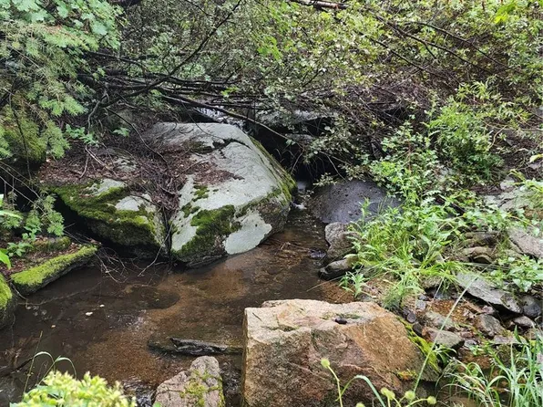 31429 Burke Road LOT 2, Golden, CO 80403