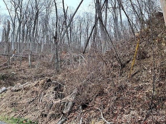 2nd image of 65 Weeping Cherry Forest Rd