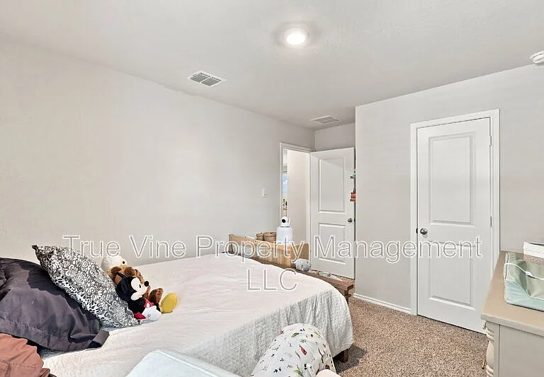 3107 Lindenwood Way — Photo 16