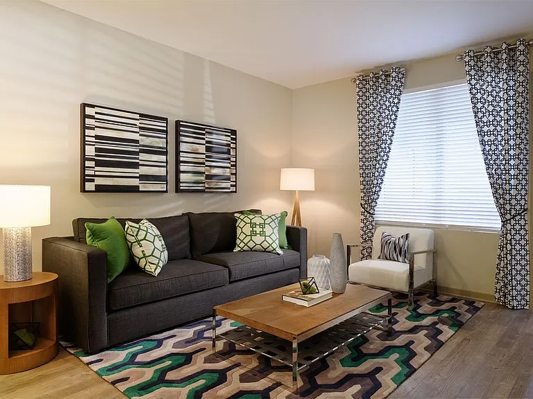 One Bedroom Apartment Living Room
