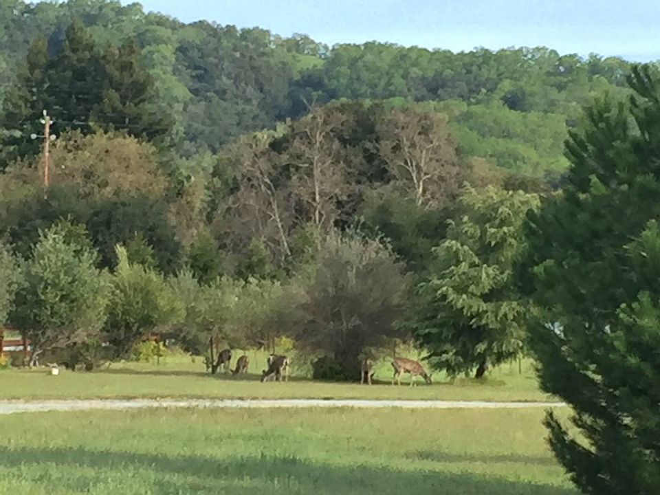 View from deck