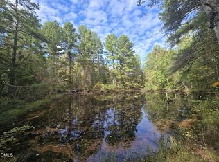 0 Bass Mountain Rd LOT 12B, Snow Camp, NC 27349