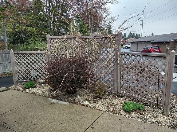 Back patio / landscaping