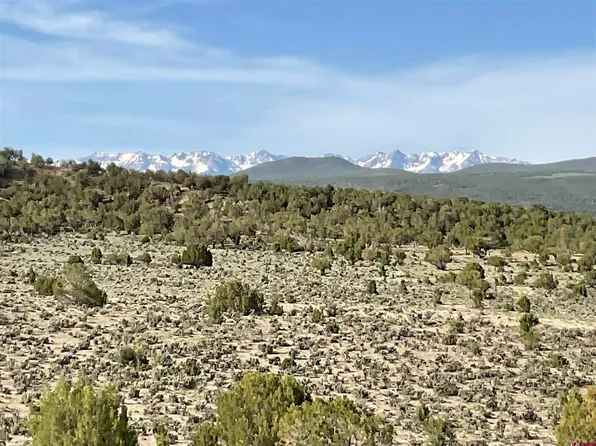 Lot 2 Buckhorn Road, Montrose, CO 81403