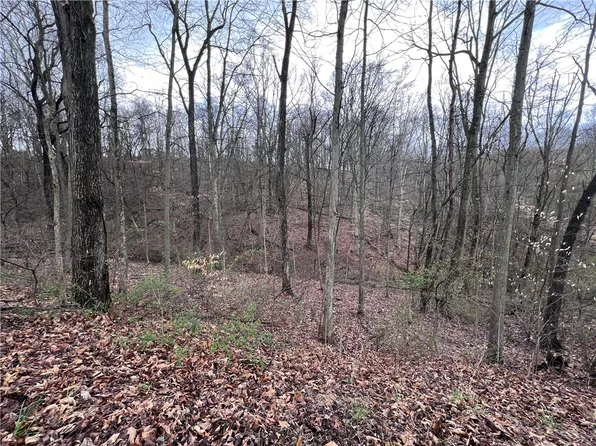 LOT 1 W Lancaster Rd #1, Harmony, PA 16037