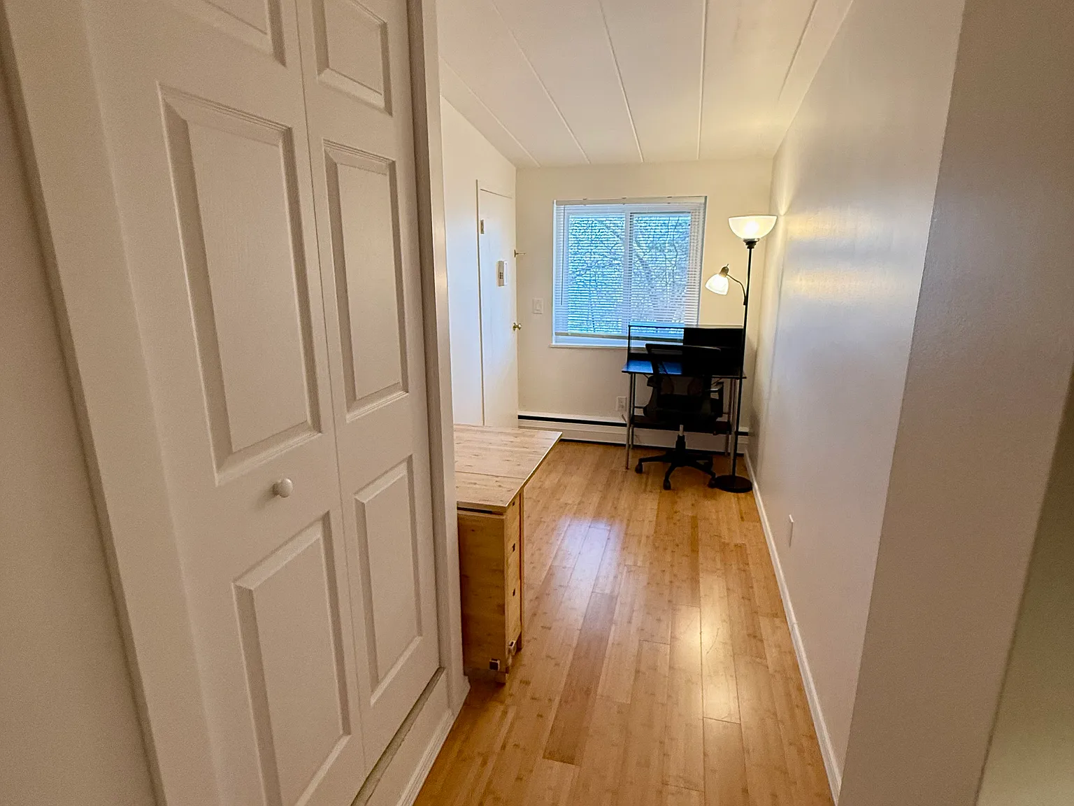 Studio, 300 sqft, $1,150 — Photo 4