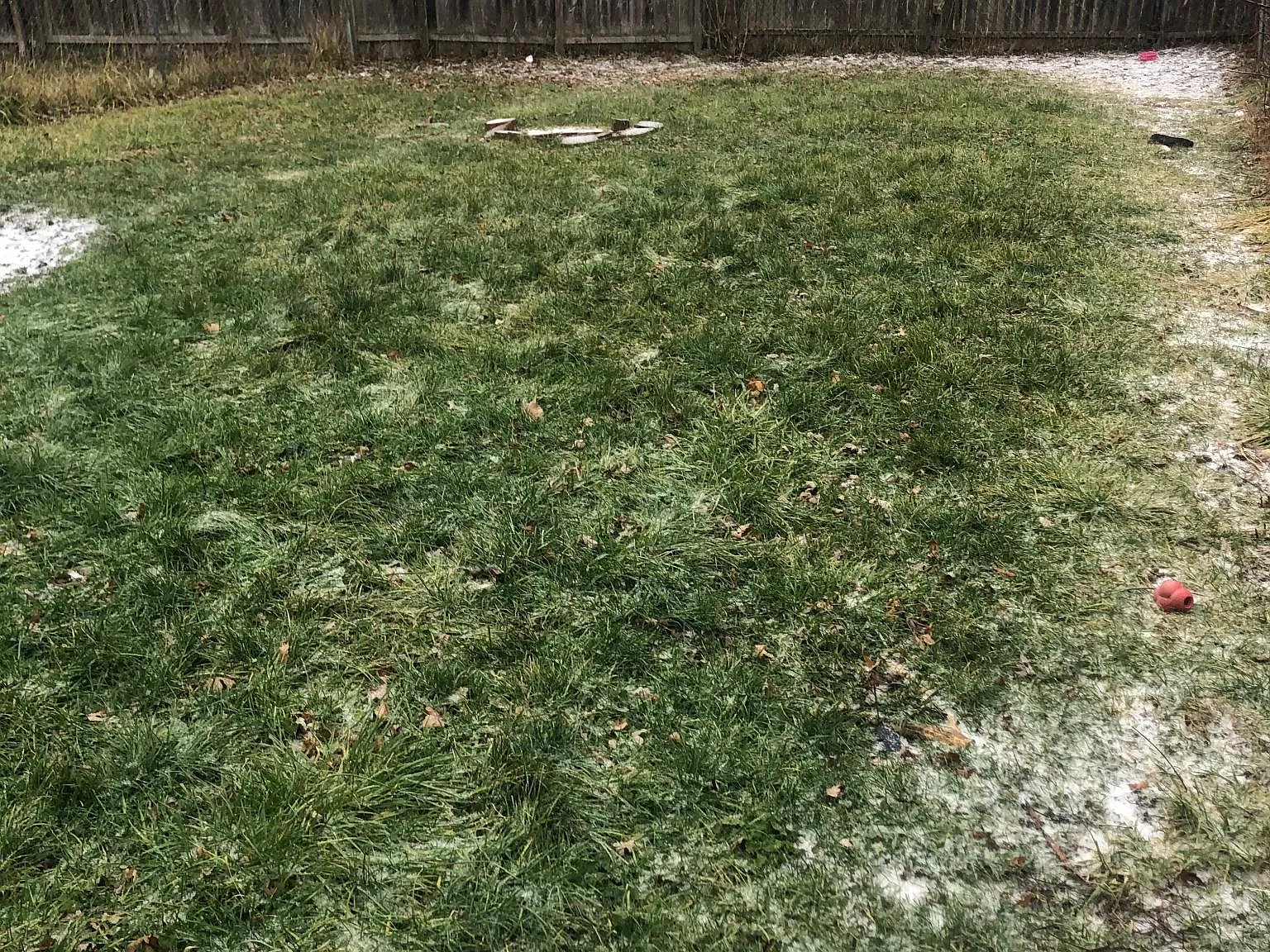 2 bed, 1730 sqft, $875 — Photo 3