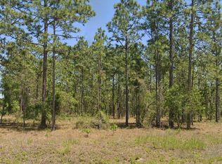 NW Mandrake Dr LOT 16, Dunnellon, FL 34431