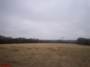 6888 Hillsboro Rd, Bonne Terre, MO 63628