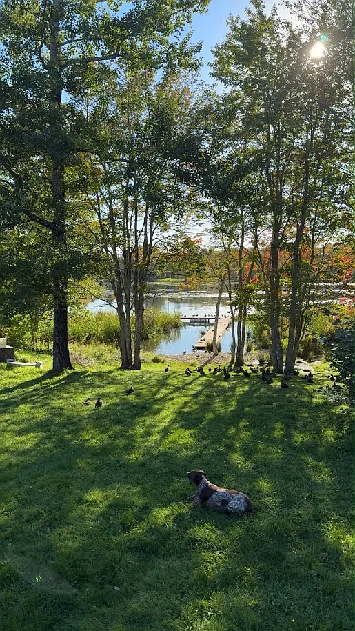 Kinsac Rd, Beaver Bank — Photo 1